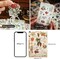 20 Sheets Nature Botanical Scrapbook Stickers - Leaf and Fruit (200 Pieces)